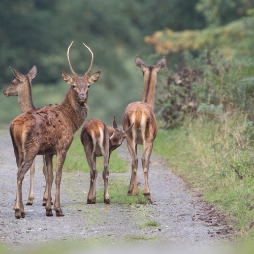 20250927-_V0A8455-Modifier