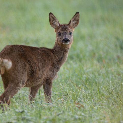 20251108-_V0A3684-Modifier