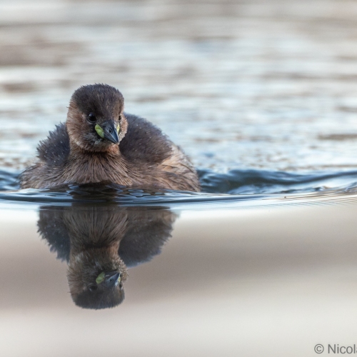 V0A5312-DxO_DeepPRIME-XD3