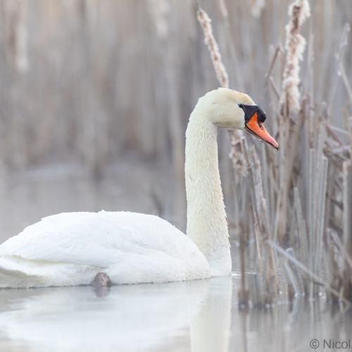 V0A5344-DxO_DeepPRIME-XD3