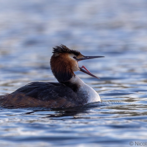 V0A6034-DxO_DeepPRIME-XD3