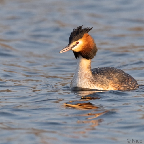 V0A6572-DxO_DeepPRIME-XD3