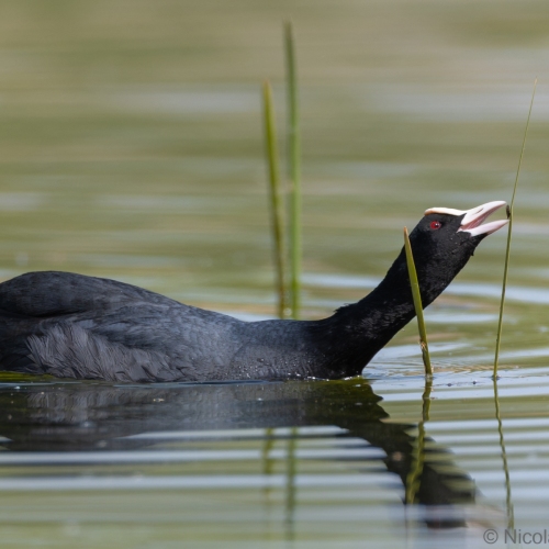 V0A9237-DxO_DeepPRIME-XD3